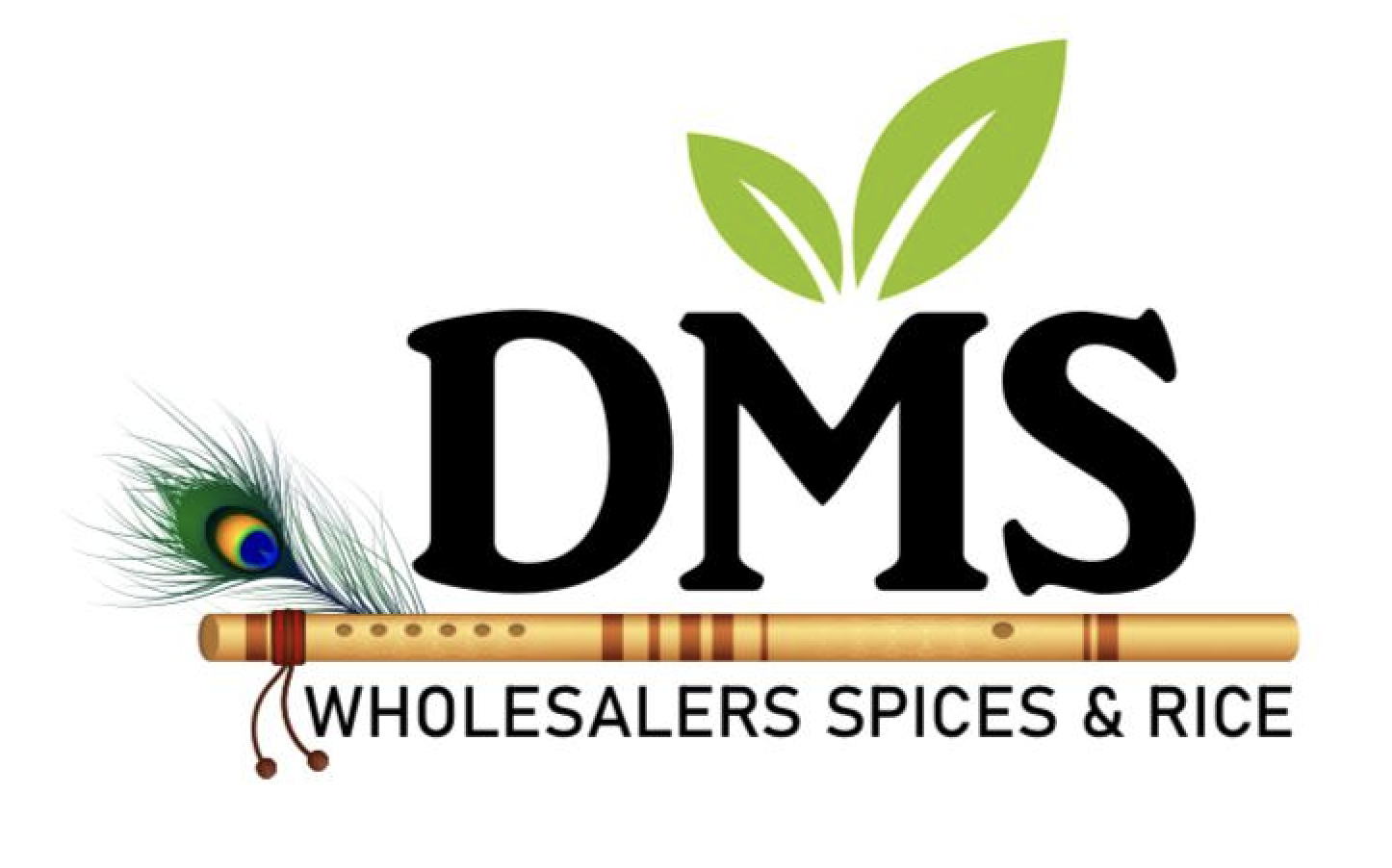 DMS Logo